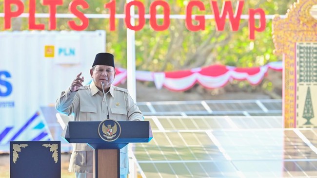 Korea Selatan Buka Peluang Bawa Teknologi Surya untuk Proyek PLTS 100 GWp Indonesia